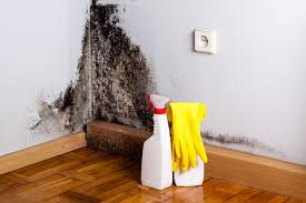 Mold Removal for HVAC Installations in East Islip, NY